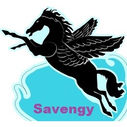 Logo savengy