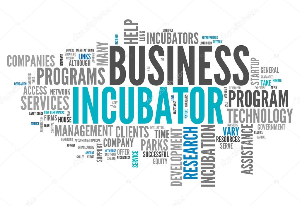 10 Tips to Maximize Your Incubation Experience